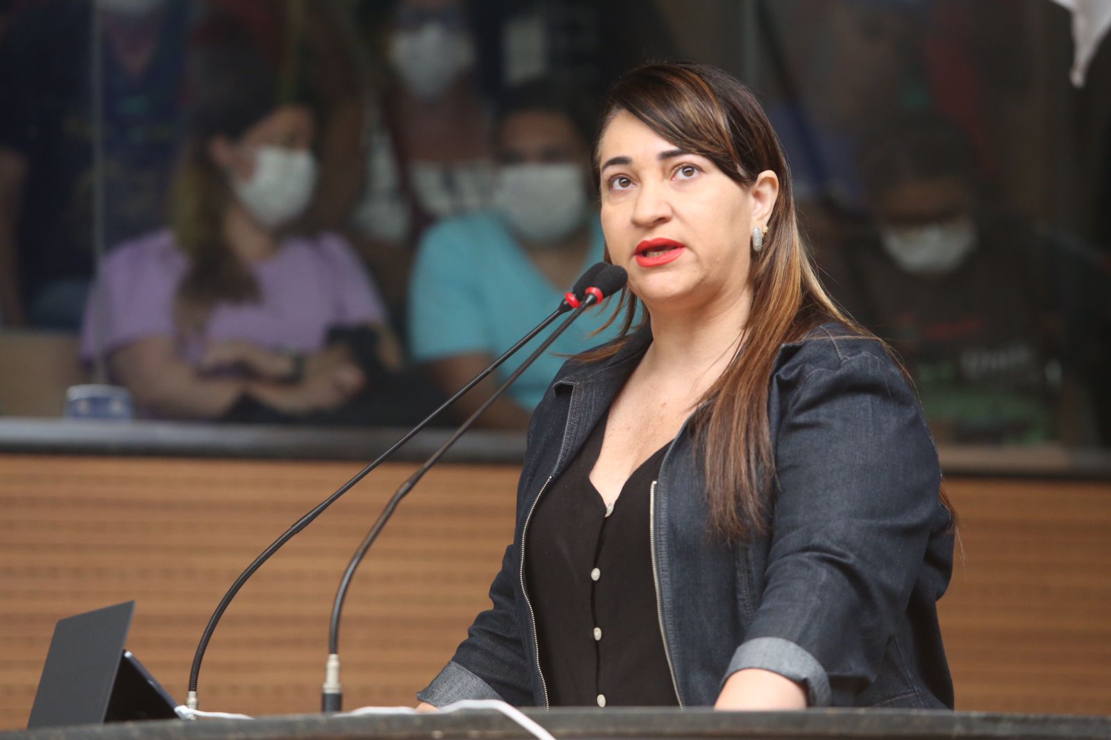 Vereadora Ana Lúcia