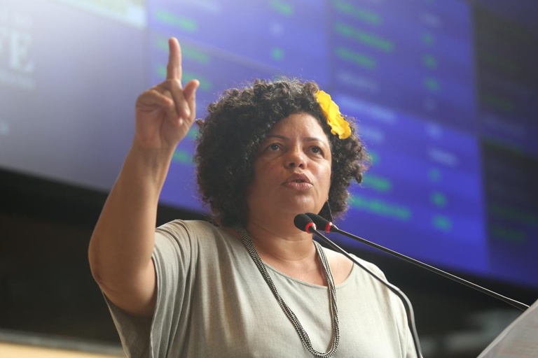 Vereadora Dani Portela