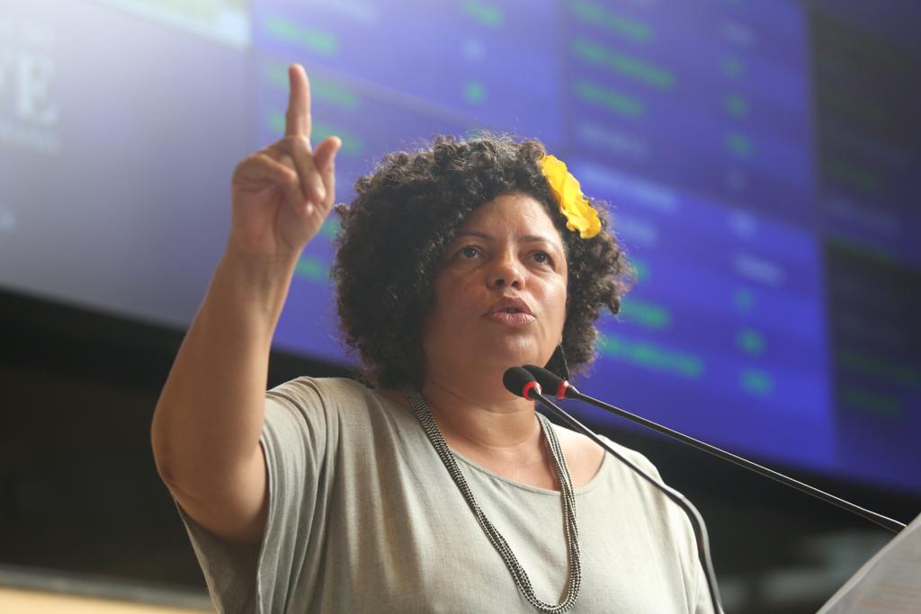 Vereadora Dani Portela