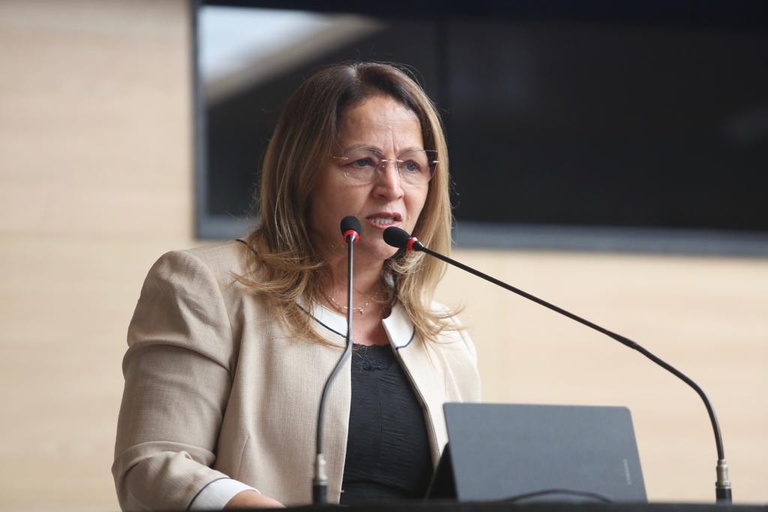 Vereadora Ana Lúcia 
