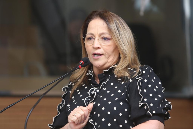 Vereadora Ana Lúcia
