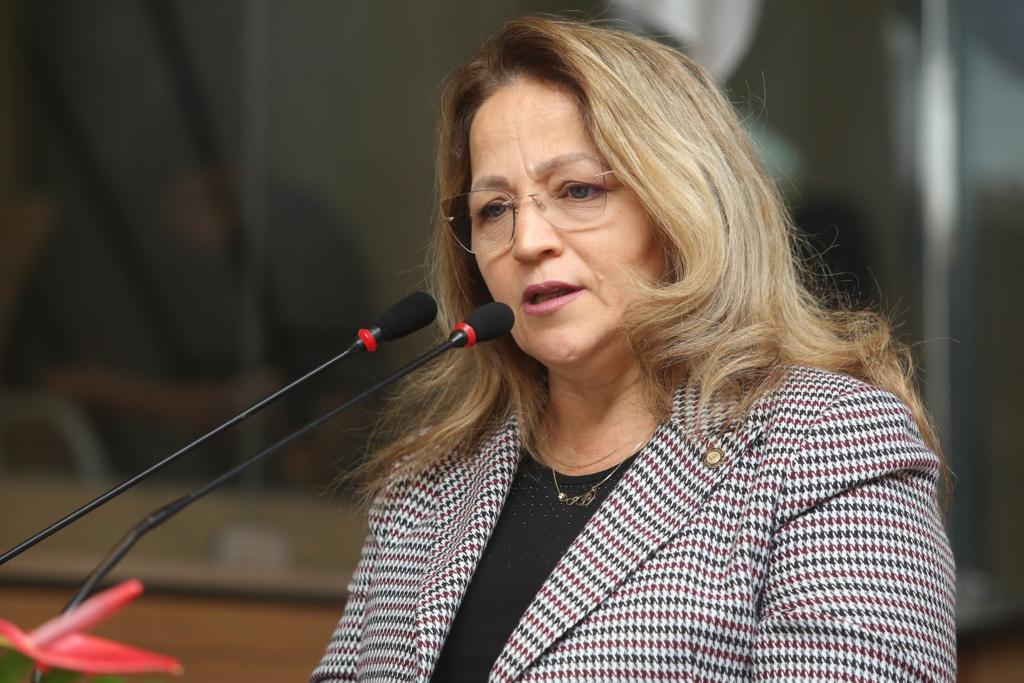 Vereadora Ana Lucia