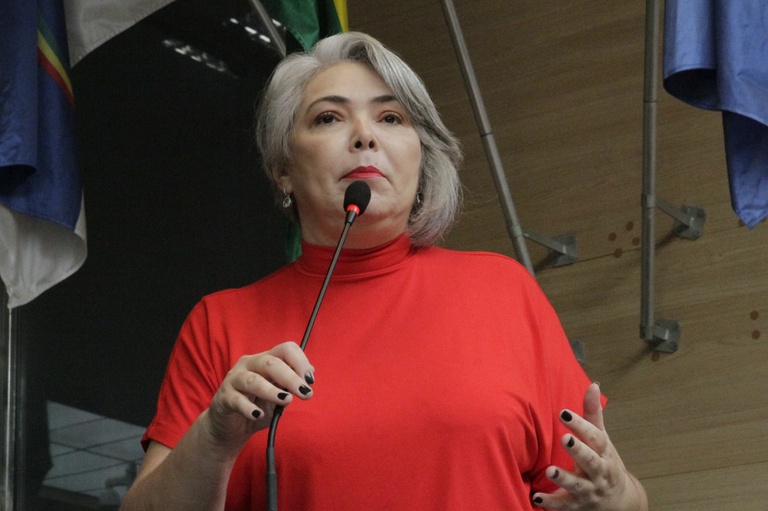 Liana Cirne discute requerimentos de sua autoria