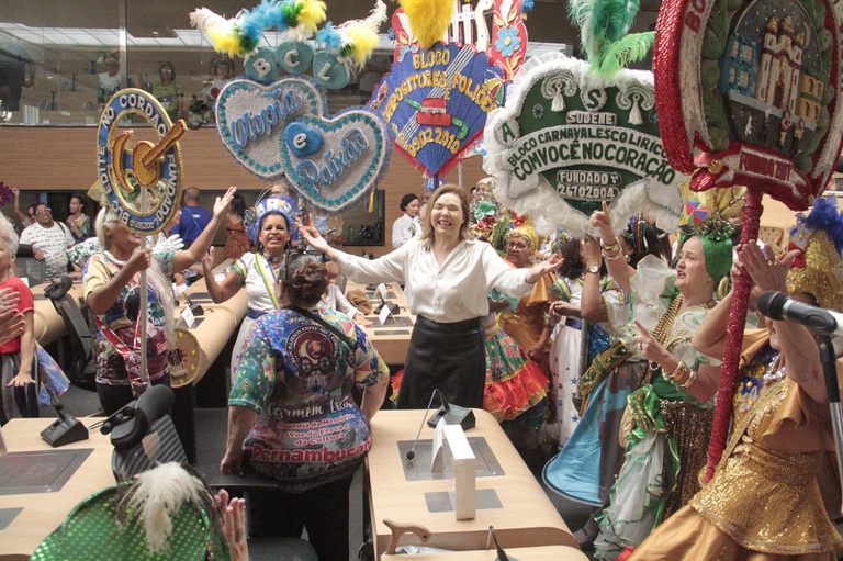 Câmara do Recife celebra blocos líricos da cidade