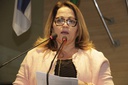 Câmara vai convocar presidente da CTTU para esclarecer Zona Azul Digital do Recife