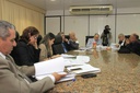 Comissão analisa estrutura das Comissões