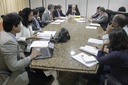 Comissão de Revisão da Lei Orgânica promove encontro