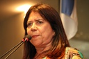 Goretti Queiroz sugeriu uso de fogos sem estampido