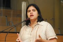 Priscila Krause alertou para as consequências da greve dos servidores federais
