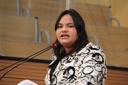 Michele Collins destaca emendas à LOA